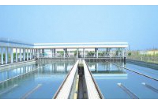 【干貨】市政水廠出水氨氮超標(biāo)該如何處理?