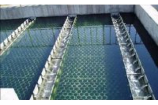 【干貨】生物濾池為什么一受沖擊氨氮去除率就會(huì)下降?